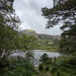 Llyn Llewelyn lake through the trees at Beddgelert forest